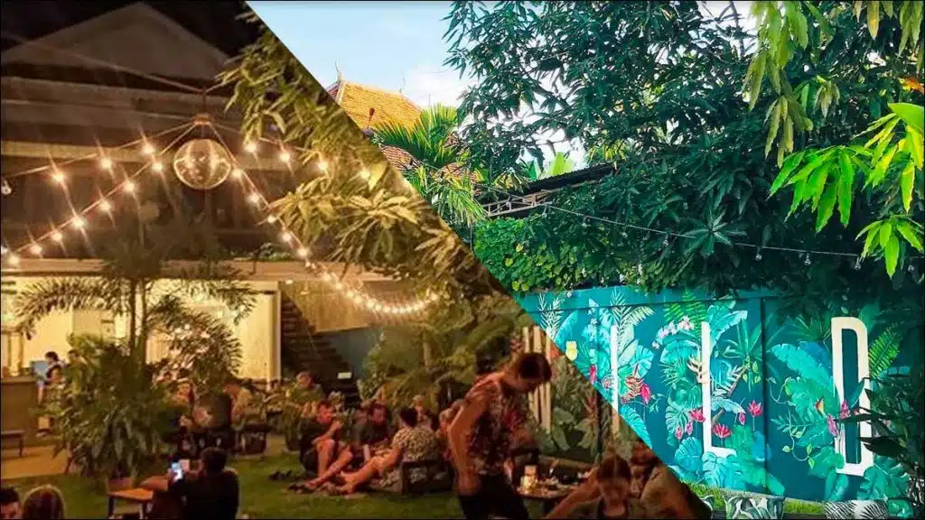 WILD Bar & Spring Rolls Restaurant